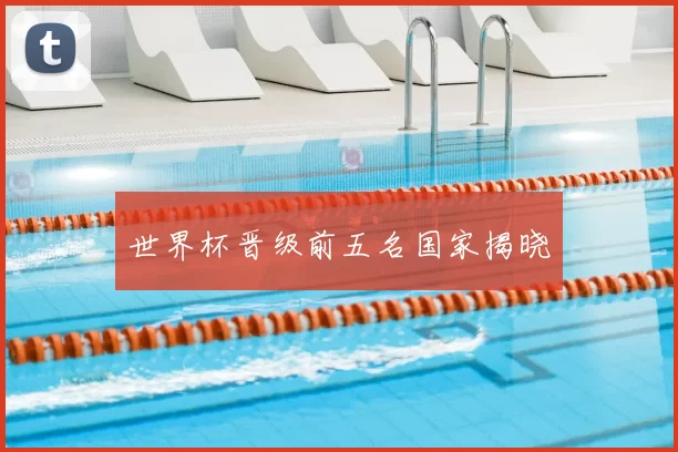 世界杯晋级前五名国家揭晓