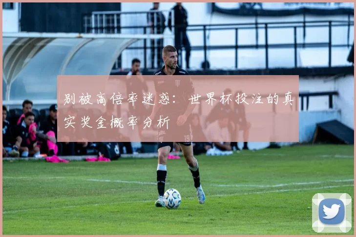 别被高倍率迷惑：世界杯投注的真实奖金概率分析