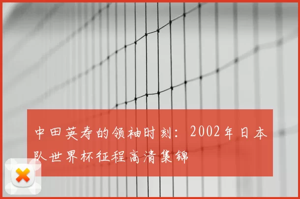 中田英寿的领袖时刻:2002年日本队世界杯征程高清集锦