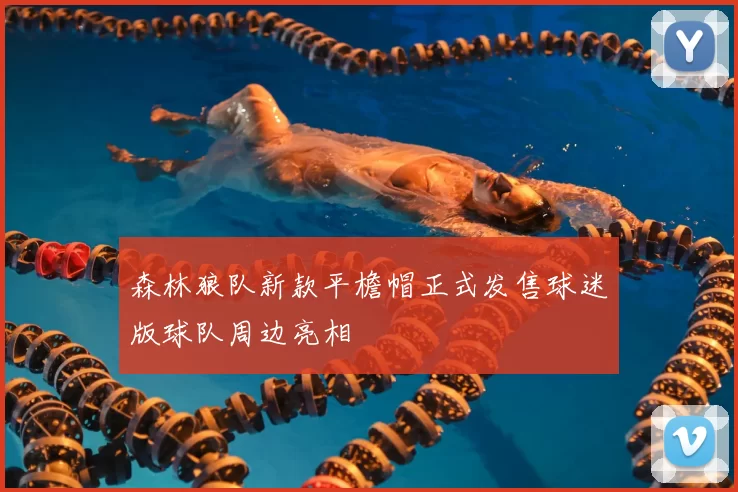 森林狼队新款平檐帽正式发售球迷版球队周边亮相