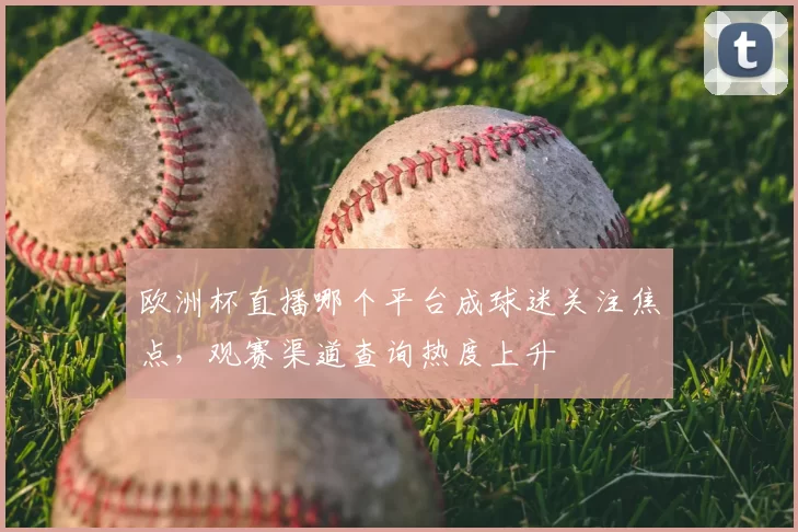 欧洲杯直播哪个平台成球迷关注焦点,观赛渠道查询热度上升