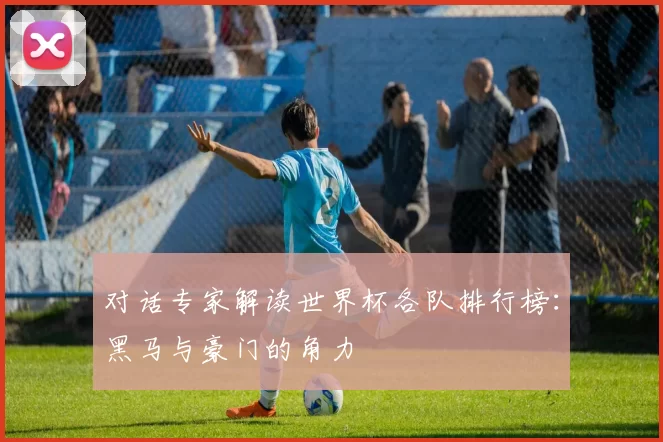 对话专家解读世界杯各队排行榜：黑马与豪门的角力