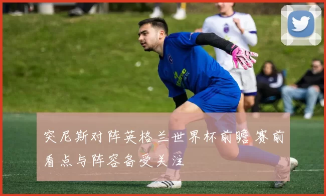 突尼斯对阵英格兰世界杯前瞻 赛前看点与阵容备受关注