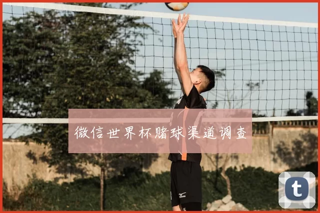 微信世界杯赌球渠道调查