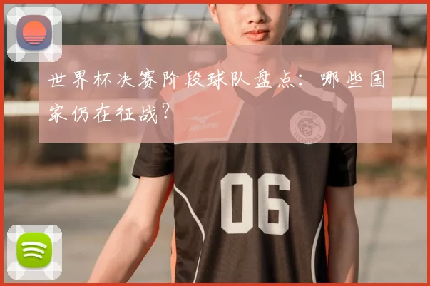 世界杯决赛阶段球队盘点：哪些国家仍在征战？