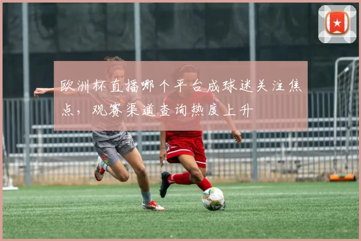 欧洲杯直播哪个平台成球迷关注焦点,观赛渠道查询热度上升
