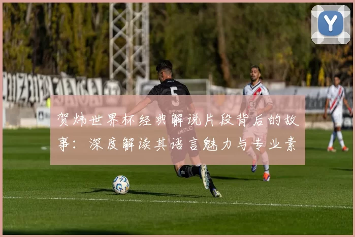 贺炜世界杯经典解说片段背后的故事:深度解读其语言魅力与专业素养
