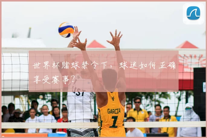 世界杯赌球禁令下,球迷如何正确享受赛事?