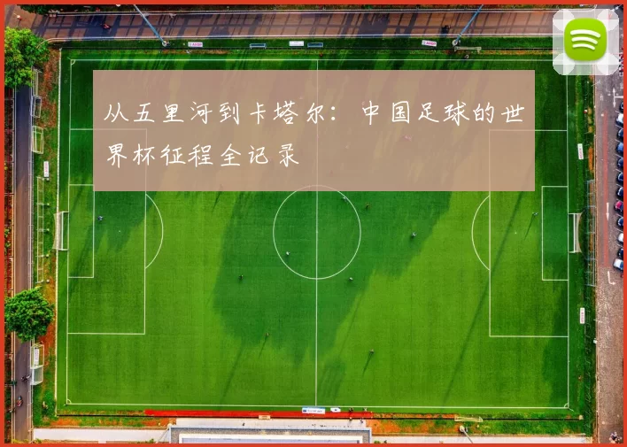 从五里河到卡塔尔：中国足球的世界杯征程全记录